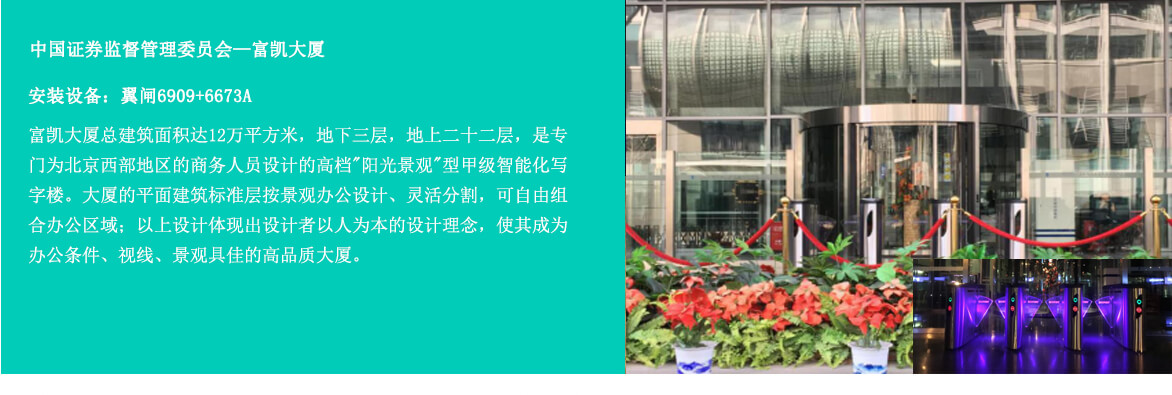 摆闸，翼闸，三辊闸，人脸识别闸机等案例