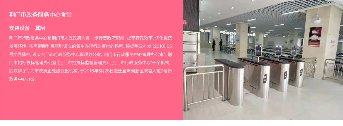 摆闸，翼闸，三辊闸，人脸识别闸机等案例