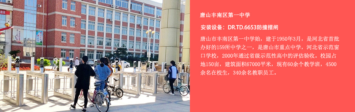 摆闸，翼闸，三辊闸，人脸识别闸机等案例