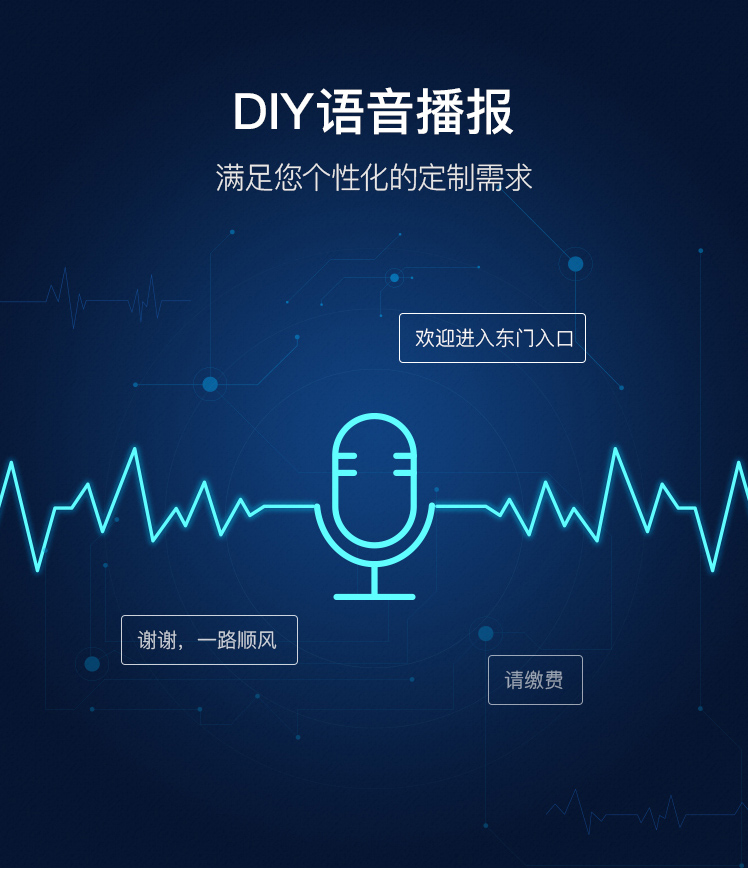 循系列Ⅱ型车牌识别系统