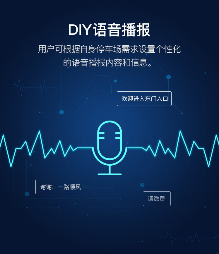 简系列Ⅲ型车牌识别系统